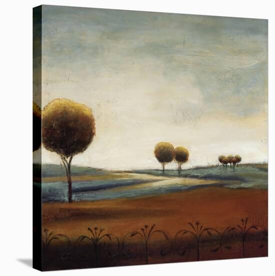 Tranquil Plains I-Ursula Salemink-Roos-Stretched Canvas