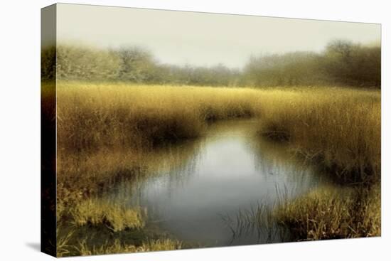 Tranquil Pond-Madeline Clark-Stretched Canvas