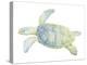 Tranquil Sea Turtle II-Megan Meagher-Stretched Canvas