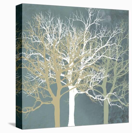 Tranquil Trees-Erin Clark-Premier Image Canvas