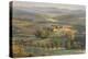 Tranquil Tuscany-Longo-Stretched Canvas