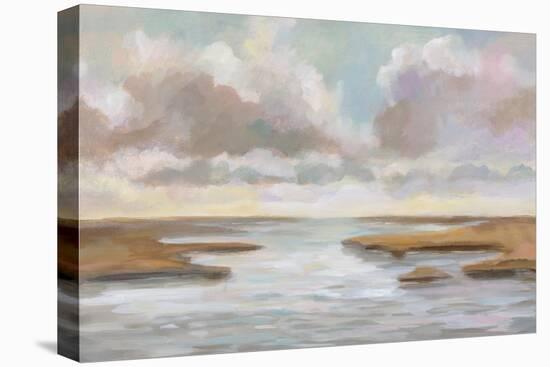 Tranquil View-Silvia Vassileva-Stretched Canvas