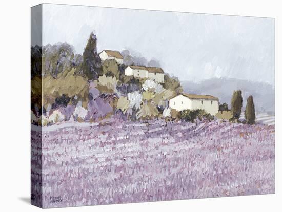 Tranquil Wild Lavender, Provence-Hazel Barker-Stretched Canvas