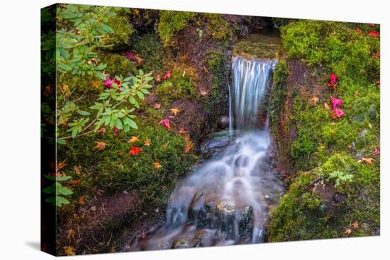 Tranquility Falls-Tim Oldford-Premier Image Canvas