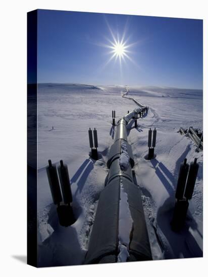 Trans-Alaska Pipeline From Prudhoe Bay to Valdez, Brooks Range, Alaska, USA-Hugh Rose-Premier Image Canvas