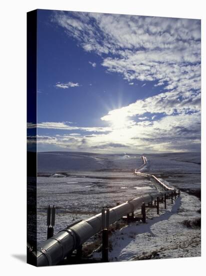 Trans-Alaska Pipeline in Winter, North Slope of the Brooks Range, Alaska, USA-Hugh Rose-Premier Image Canvas