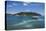 Transfer to the exclusive Iririki Island, Efate, Vanuatu, Pacific-Michael Runkel-Premier Image Canvas