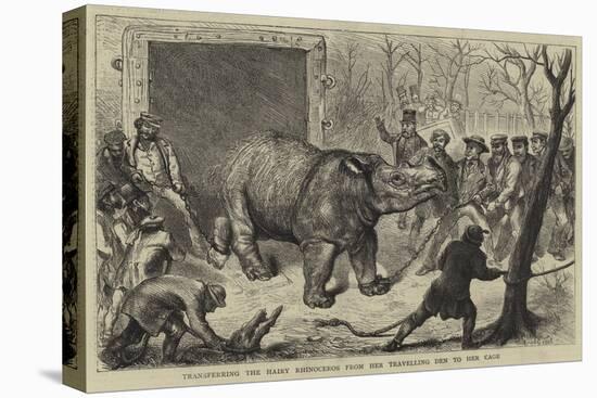 Transferring the Hairy Rhinoceros from Her Travelling Den to Her Cage-Ernest Henry Griset-Premier Image Canvas