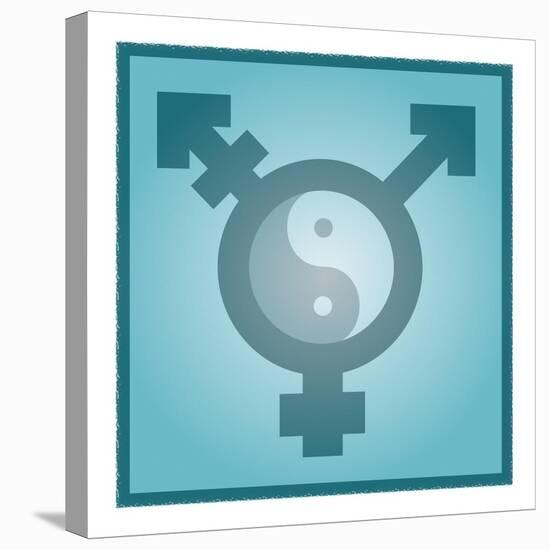 Transgender Balance, Conceptual Artwork-Stephen Wood-Premier Image Canvas