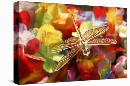 Transparent artificial dragonfly with flowers-Charles Bowman-Premier Image Canvas