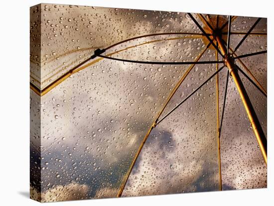 Transparent Weather-Ursula Abresch-Premier Image Canvas