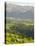 Transylvanian Alps, Near Fundata, Transylvania, Romania, Europe-Gary Cook-Premier Image Canvas