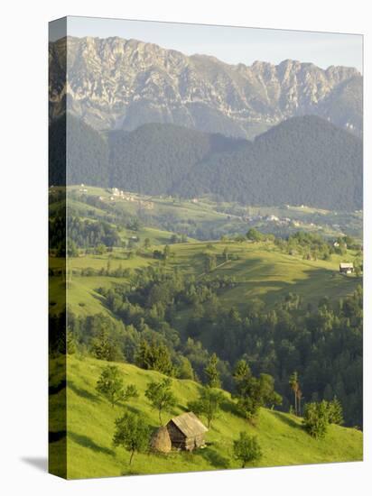 Transylvanian Alps, Near Fundata, Transylvania, Romania, Europe-Gary Cook-Premier Image Canvas