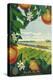 Travel Poster, Train through Orange Orchard-Found Image Press-Premier Image Canvas