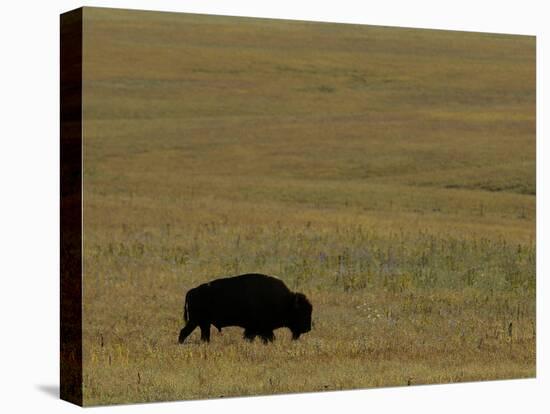 Travel Trip Tallgrass Prairie-Charlie Riedel-Premier Image Canvas