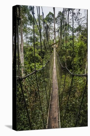 Traversing the 7 bridges high in the canopy of Kakum National Forest-Sheila Haddad-Premier Image Canvas