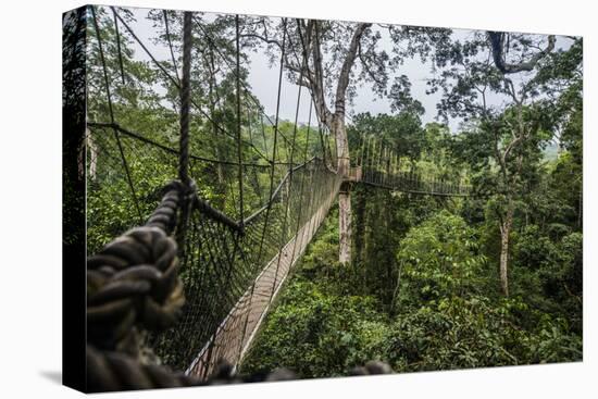 Traversing the 7 bridges high in the canopy of Kakum National Forest-Sheila Haddad-Premier Image Canvas