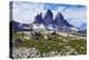 Tre Cime Di Lavaredo, Sexten Dolomites, South Tyrol, Italy, Europe, July 2009-Frank Krahmer-Premier Image Canvas