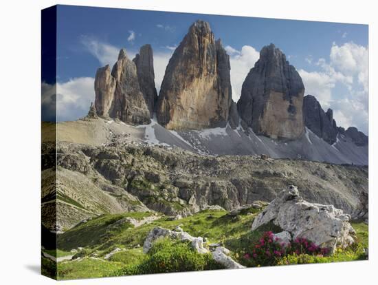 Tre Cime Di Lavaredo (Three Merlons), Meadow, South Tyrol-Rainer Mirau-Premier Image Canvas