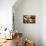 Treasure Hunting Setting, A Compass, Binoculars, Knife and a Old Key on a Old Wooden Desk-landio-Premier Image Canvas displayed on a wall