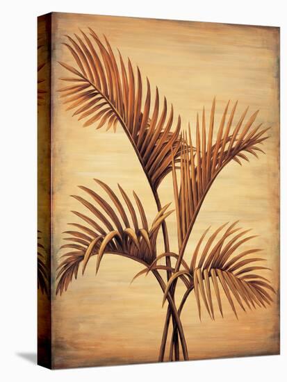 Treasured Palm I-David Parks-Stretched Canvas
