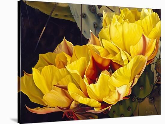 Treasures in Highlight-David Manje-Stretched Canvas