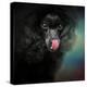 Treat Snatcher Toy Black Poodle-Jai Johnson-Premier Image Canvas