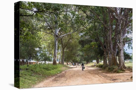 Tree Alley in Livingstonia, Malawi, Africa-Michael Runkel-Premier Image Canvas