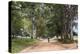 Tree Alley in Livingstonia, Malawi, Africa-Michael Runkel-Premier Image Canvas