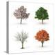 Tree at Four Seasons-Mike_Kiev-Premier Image Canvas