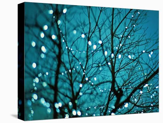 Tree at Night with Lights-Myan Soffia-Premier Image Canvas