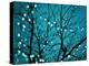 Tree at Night with Lights-Myan Soffia-Premier Image Canvas