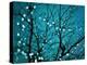 Tree at Night with Lights-Myan Soffia-Premier Image Canvas