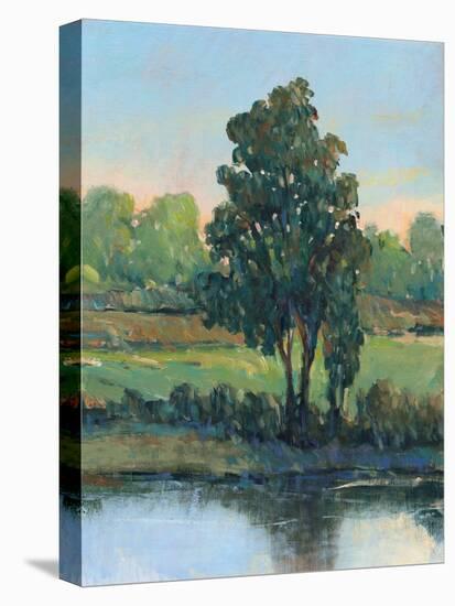 Tree by the Riverbank I-Tim OToole-Stretched Canvas