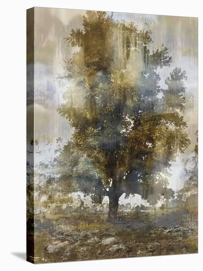 Tree Dreamscape I-Paul Duncan-Stretched Canvas