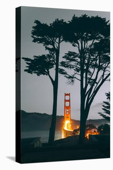 Tree Framed Golden Gate South, Early Evening, San Francisco-Vincent James-Premier Image Canvas