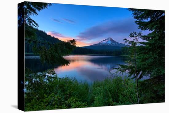 Tree Framed Trillium Lake Reflection, Summer Mount Hood Oregon-Vincent James-Premier Image Canvas