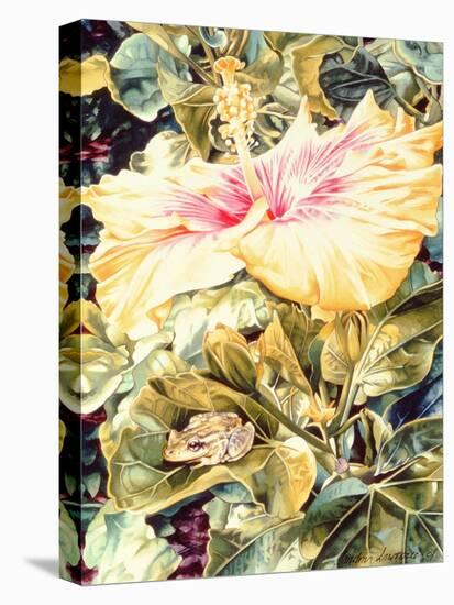 Tree Frog and White, Yellow and Pink Hibiscus, 1989-Sandra Lawrence-Premier Image Canvas