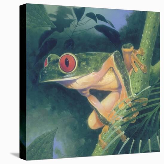 Tree Frog-Durwood Coffey-Premier Image Canvas
