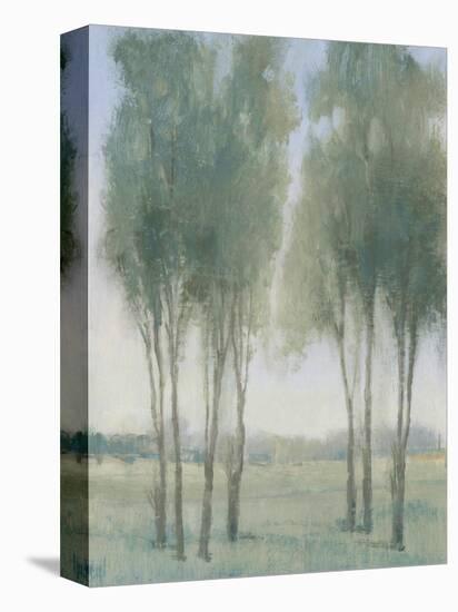 Tree Grove I-Tim OToole-Stretched Canvas