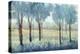 Tree Grove-Tim O'toole-Premier Image Canvas