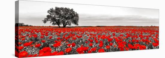 Tree in a poppy field-null-Stretched Canvas