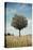 Tree in an Unmown Field with a Hill in the Background in Southern Burgenland, Austria-Rainer Schoditsch-Premier Image Canvas