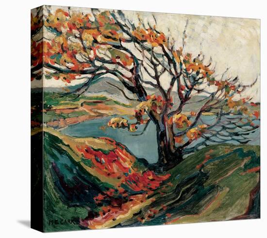 Tree in Autumn-Emily Carr-Stretched Canvas