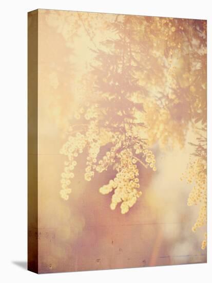 Tree in Bloom-Myan Soffia-Premier Image Canvas