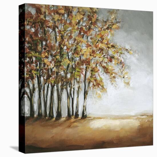 Tree in Fall-Christina Long-Stretched Canvas