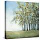 Tree in Summer-Christina Long-Stretched Canvas