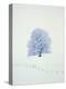 Tree in winter-Herbert Kehrer-Premier Image Canvas