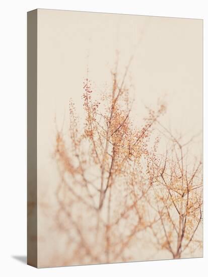 Tree in Winter-Myan Soffia-Premier Image Canvas