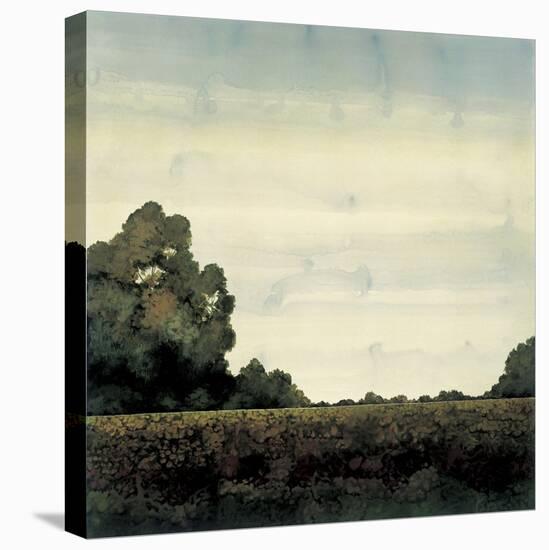 Tree Line II-Robert Charon-Stretched Canvas
